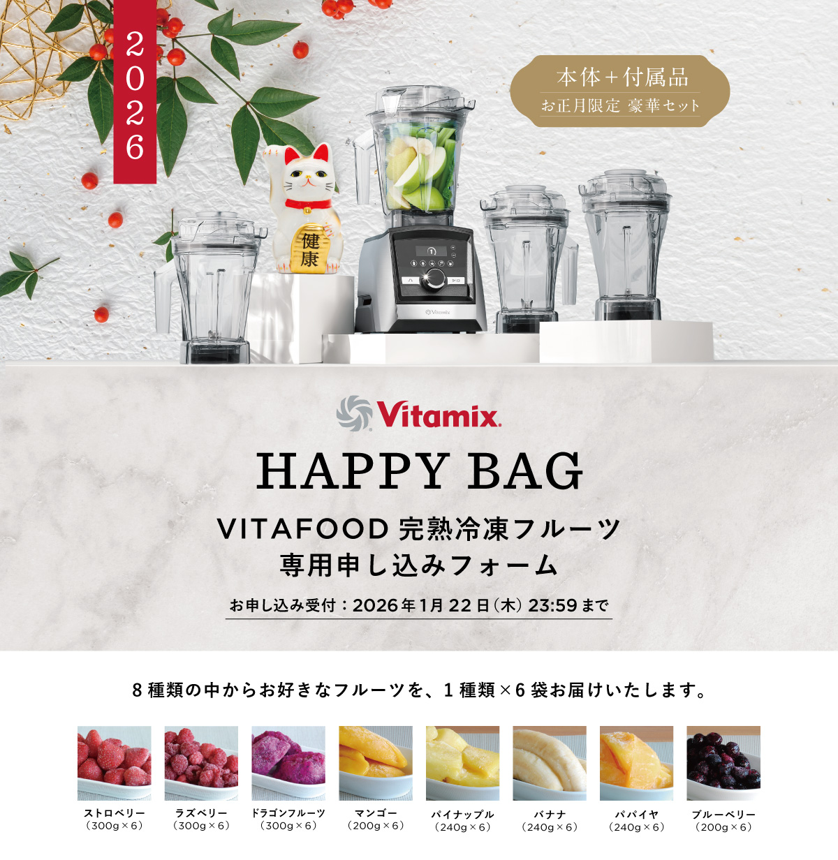 Vitamix ハッピーバッグ